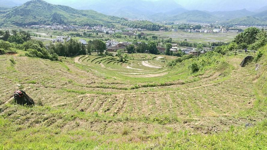 一年一季武功山有機(jī)紫米育成紀(jì)實(shí)